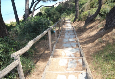 pefka gallery | Without Category | Image ID: 18885