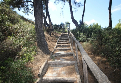 pefka gallery | Without Category | Image ID: 18872