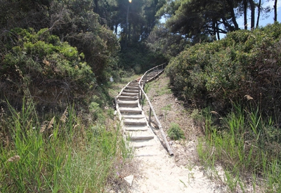 pefka gallery | Without Category | Image ID: 18878