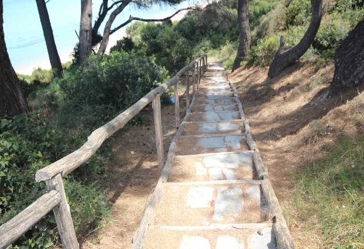 pefka gallery | Image ID: 18885