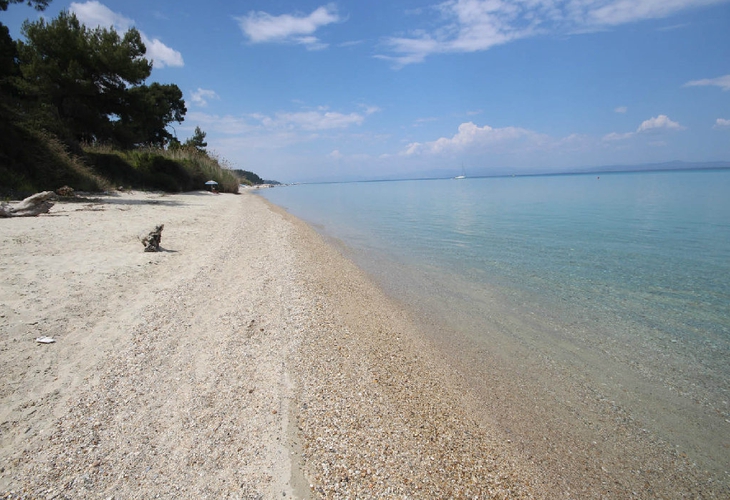 pefka gallery | Image ID: 18877